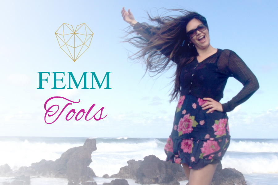 FEMM Tools Product