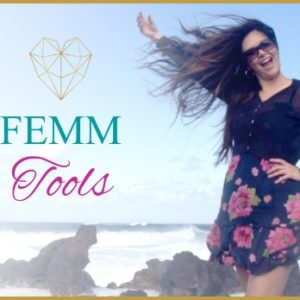 FEMM Tools Logo